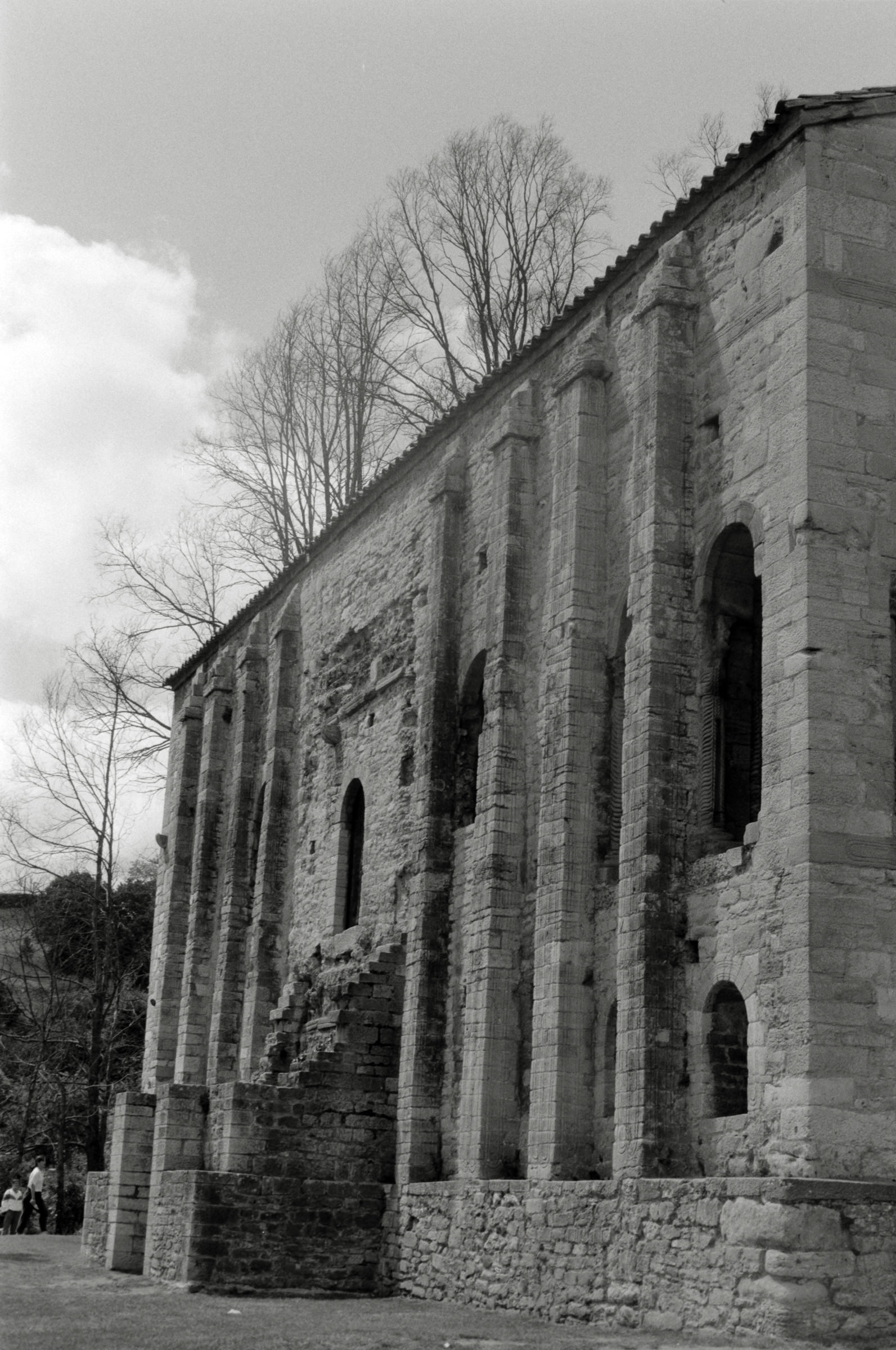 AHP F1995 05 011 sc240827 img13 NLP